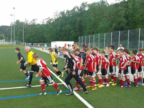 VfRD1-FSGD1